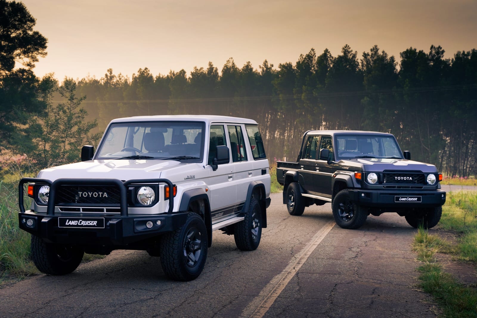 A new-shape Land Cruiser 76 station wagon and a 79 double cab parked on a tar road between pine trees, neither with a snorkel