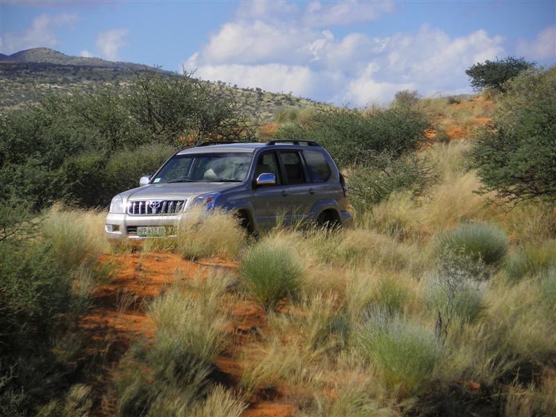A blue-silver Toyota Prado 120 on a red sand track through tall grass.